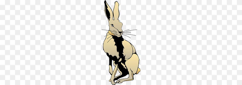 Hare Animal, Mammal, Person Free Png