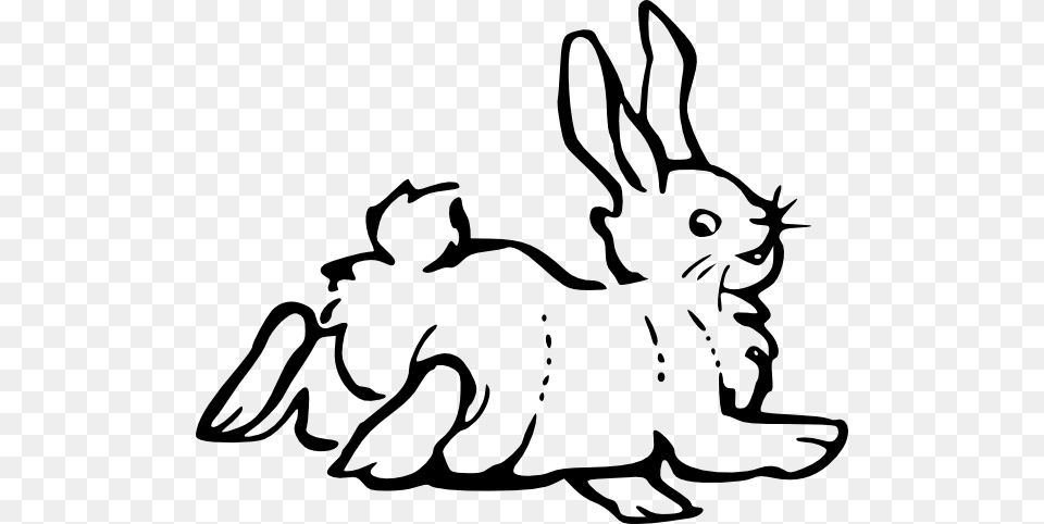 Hare Clip Art, Stencil, Animal, Mammal, Rodent Png