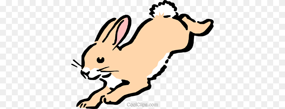 Hare Clip Art, Animal, Mammal, Rabbit, Baby Free Png Download