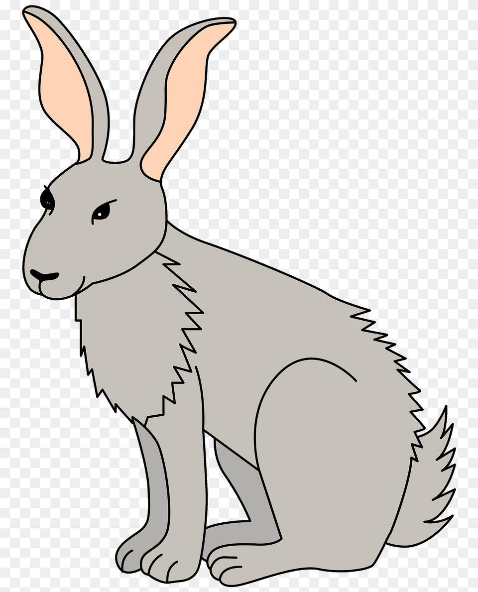 Hare Clipart, Animal, Mammal, Kangaroo Free Transparent Png