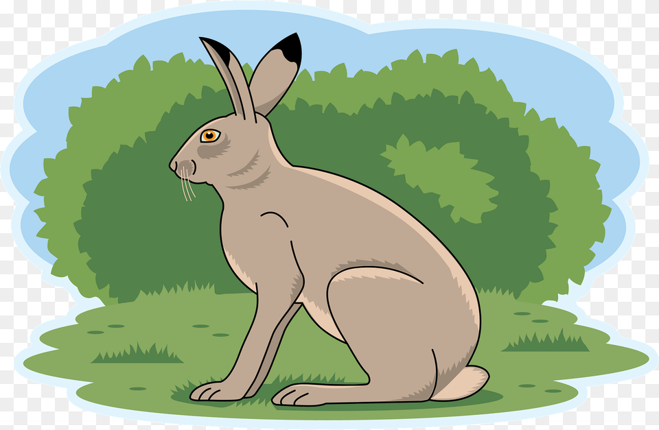 Hare Clipart, Animal, Mammal, Rodent, Kangaroo Free Transparent Png