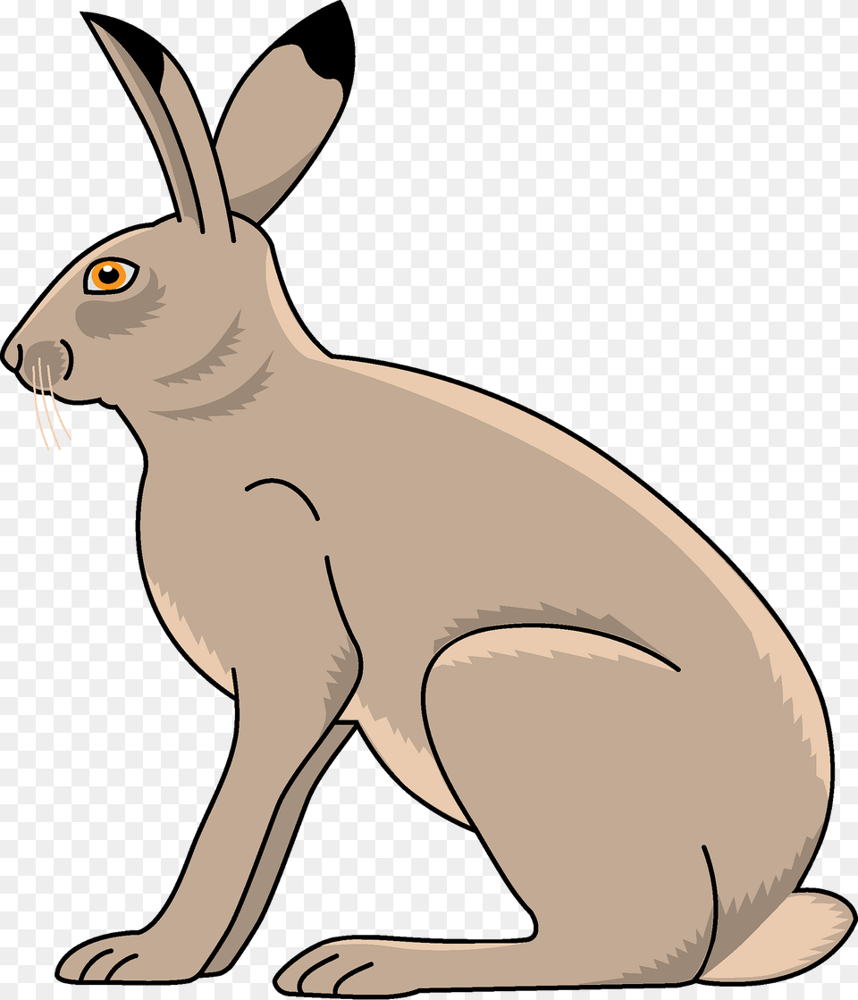 Hare Clipart, Animal, Mammal, Rodent, Kangaroo Free Png Download