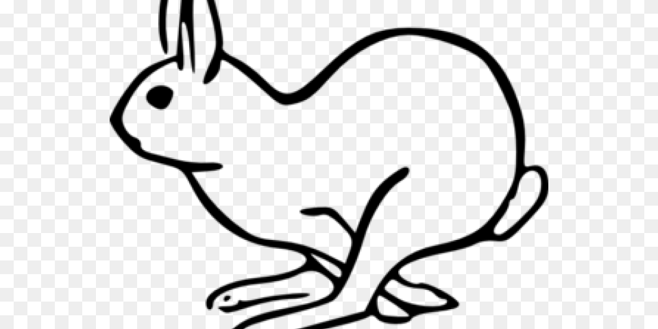 Hare Clipart, Gray Free Transparent Png