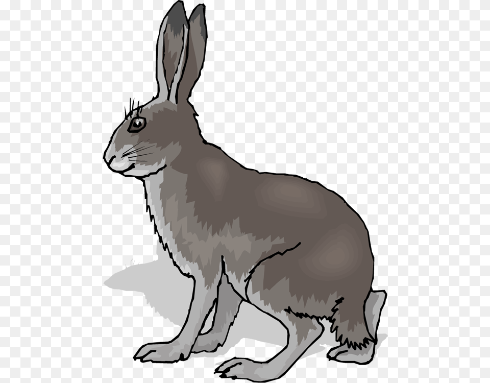 Hare Clipart Grassland Animal Coney Animal, Mammal, Rodent, Kangaroo, Person Free Transparent Png