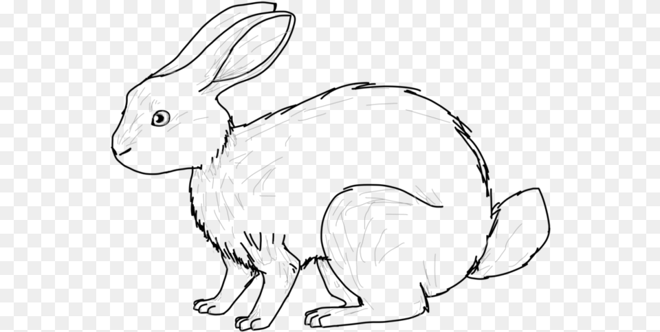 Hare Drawing Huge Freebie For Powerpoint Domestic Rabbit, Art Png