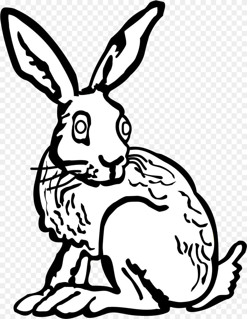 Hare Line Drawing At Getdrawings Hare Drawing, Animal, Mammal, Rodent, Stencil Free Png