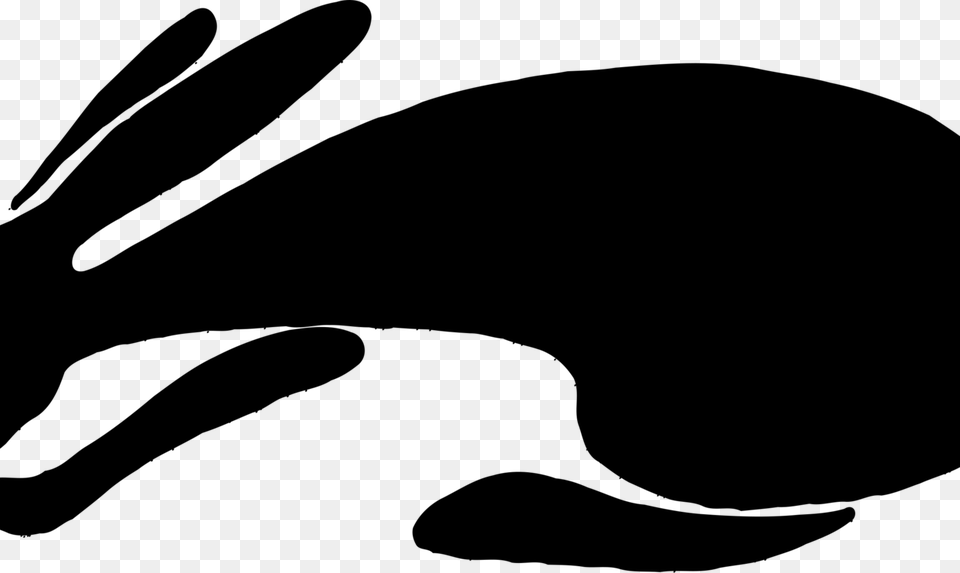 Hare Silhouette European Rabbit Animal, Gray Png