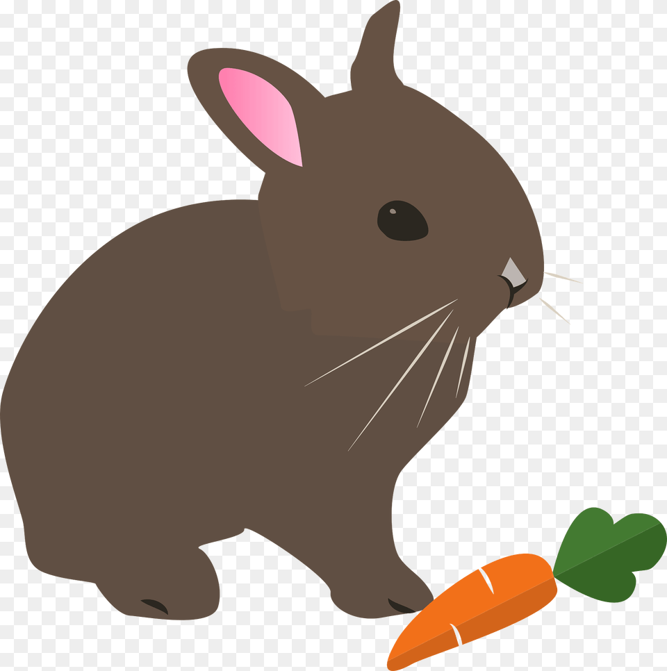 Hare With Carrot Clipart, Animal, Rabbit, Mammal, Produce Png