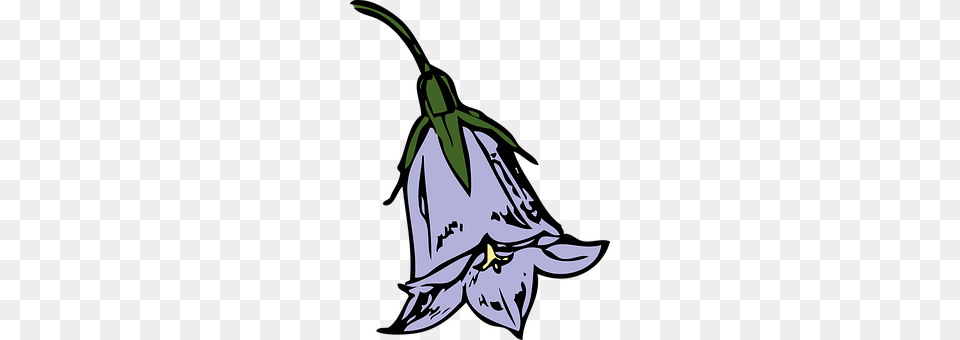 Harebell Flower, Plant, Animal, Fish Free Transparent Png