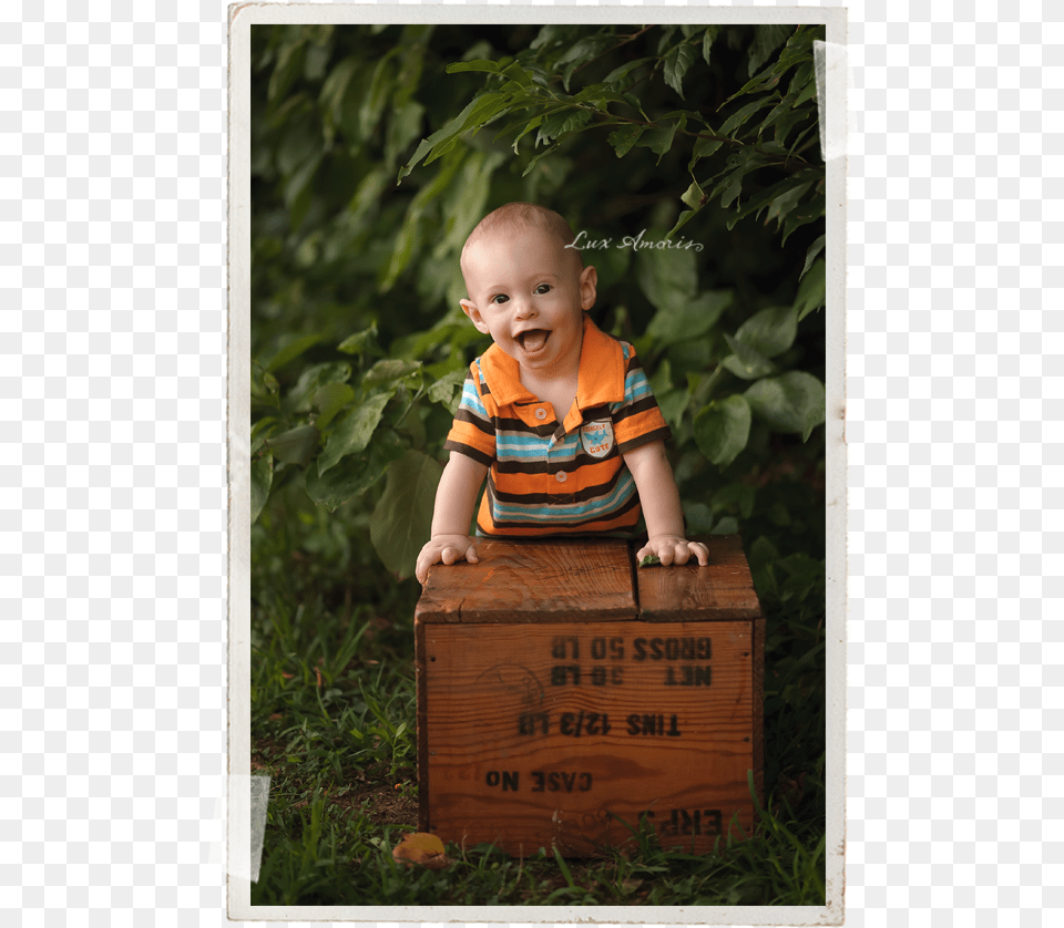 Harford County Baby Photographer Jen Snyder Of Lux Toddler, Box, Crate, Face, Head Free Png