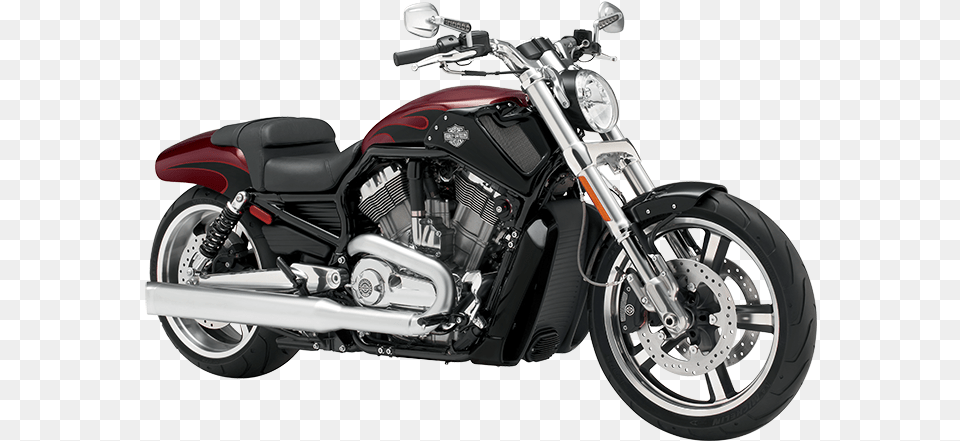 Harley Davidsona Motor Harley Davidson V Rod Muscle, Machine, Spoke, Motorcycle, Vehicle Free Transparent Png