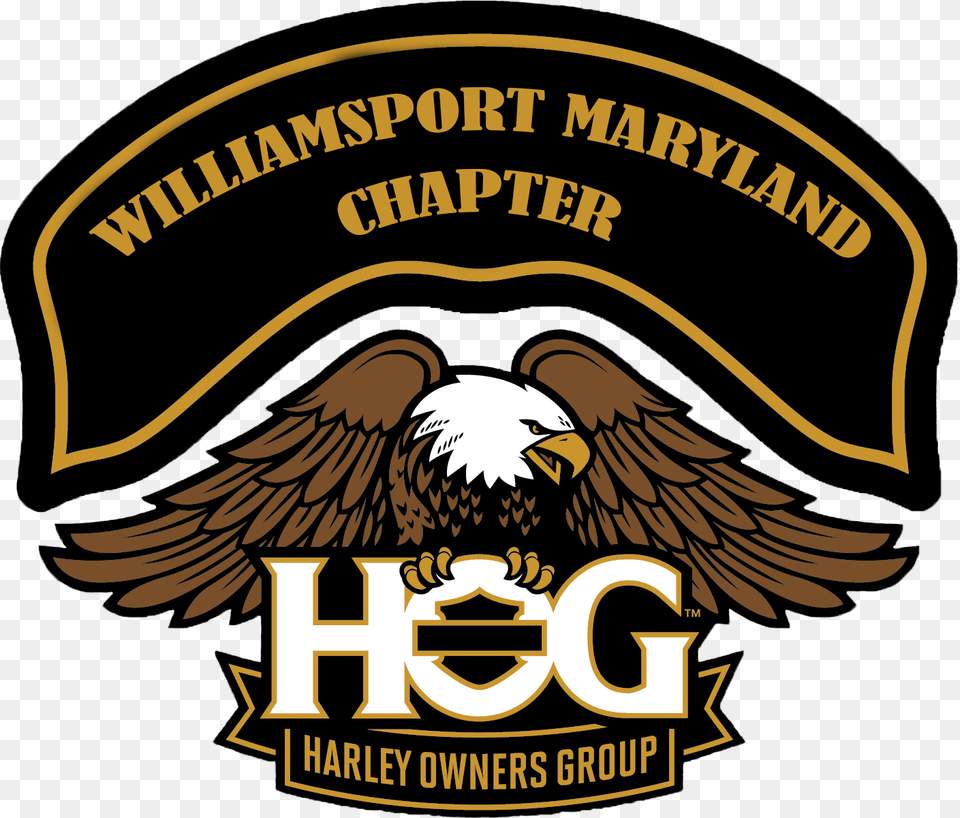 Harley Owners Group Des Moines Iowa Chapter, Animal, Bird, Eagle, Logo Free Png Download