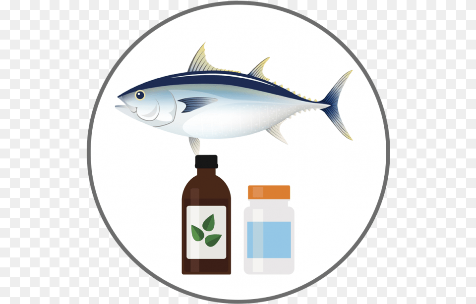 Harmful Algal Blooms Bluefin Tuna Clipart, Animal, Fish, Sea Life, Bonito Png