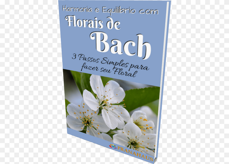 Harmonia E Equilbrio Com Florais De Bach Rosa Rubiginosa, Flower, Plant, Petal, Publication Png Image