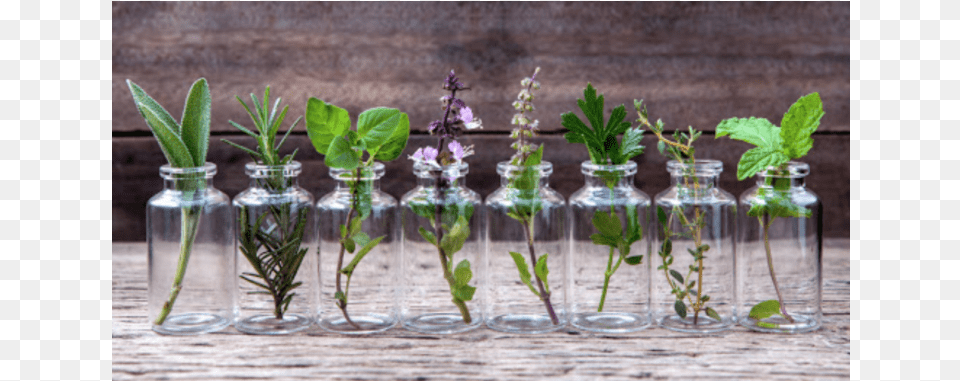 Harmony Amp Health Natural Essential Oils, Herbs, Plant, Test Tube Free Png Download