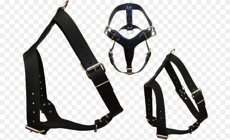 Harness, Accessories, Bag, Handbag Free Png Download