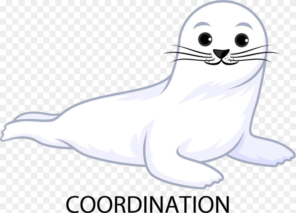 Harp Seal Cartoon Transparent, Animal, Mammal, Sea Life, Sea Lion Png