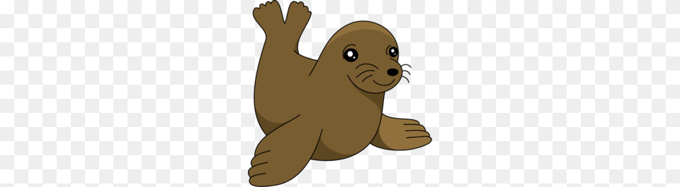 Harp Seal Clipart, Animal, Mammal, Sea Life, Sea Lion Png