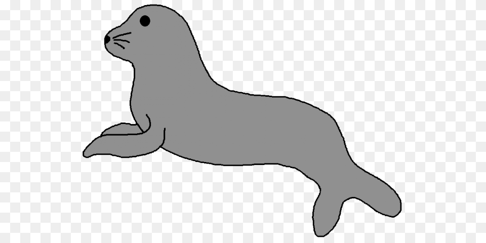 Harp Seal Clipart Animals That Swim, Animal, Mammal, Sea Life, Sea Lion Png Image