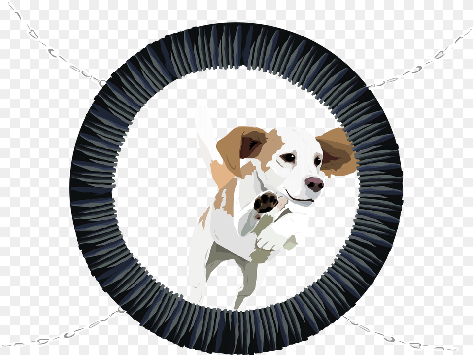 Harrier, Hound, Animal, Canine, Dog Png Image