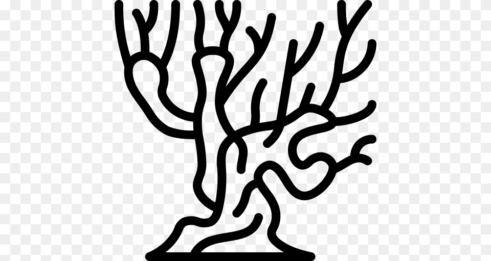 Harry Outline Potter Tree Whomping Willow Icon, Gray Png Image
