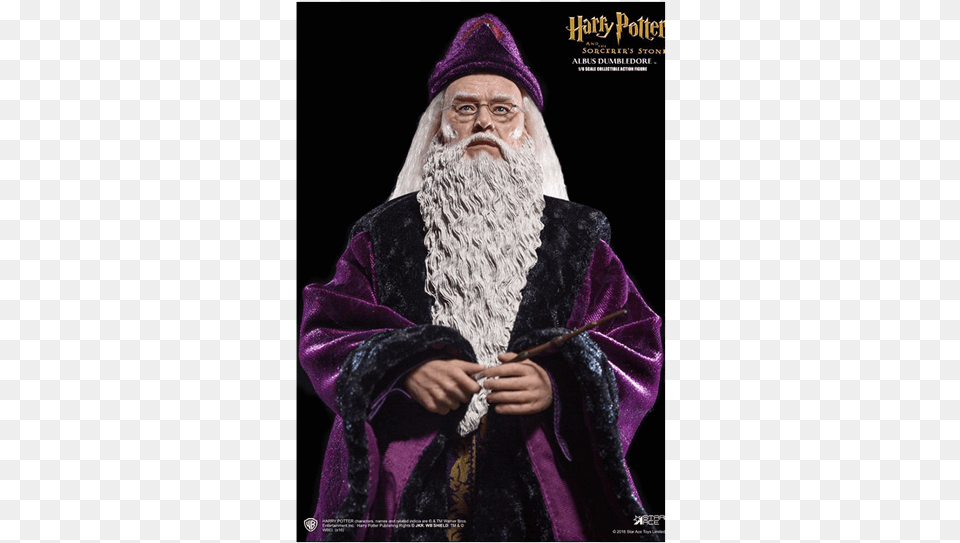 Harry Potter Albus Dumbledore, Fashion, Adult, Female, Person Free Png
