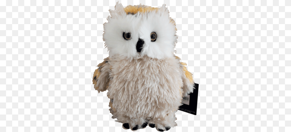 Harry Potter And The Cursed Child Owl, Animal, Bird Png