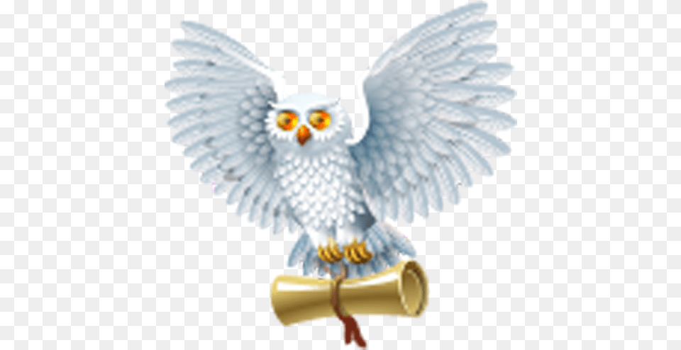 Harry Potter And The Half Blood Prince Harry Potter Harry Potter The Philosopher39s Stone Icon, Animal, Bird, Owl Free Png