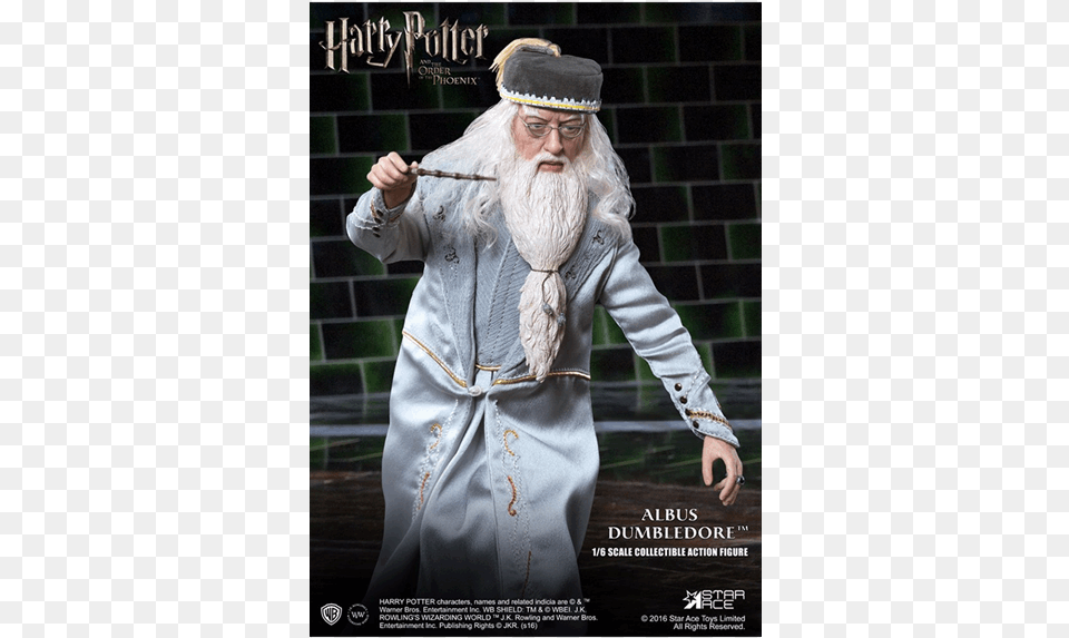 Harry Potter And The Order, Adult, Female, Person, Woman Free Png Download