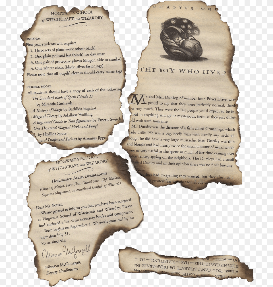 Harry Potter Burned Pages, Text, Adult, Bride, Female Free Png Download