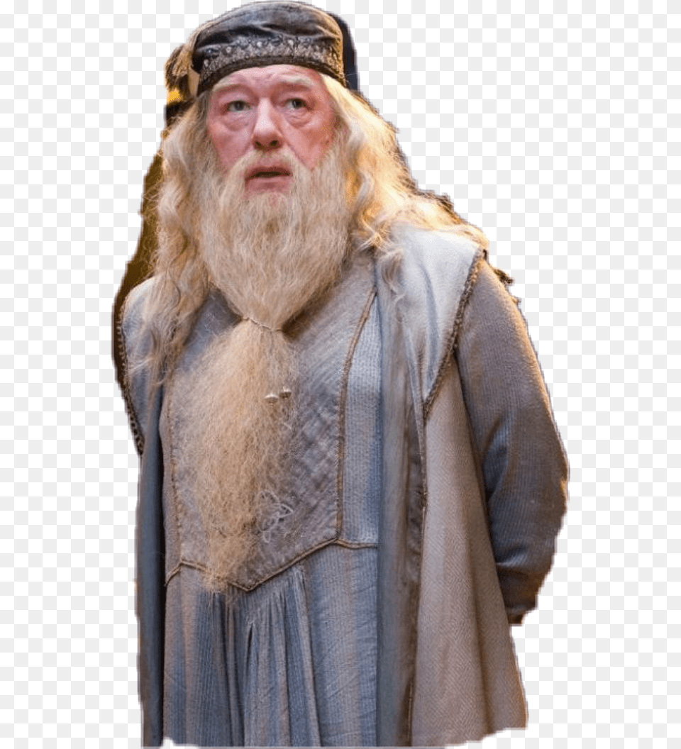 Harry Potter Connection To Fantastic Beasts, Beard, Face, Head, Person Free Transparent Png