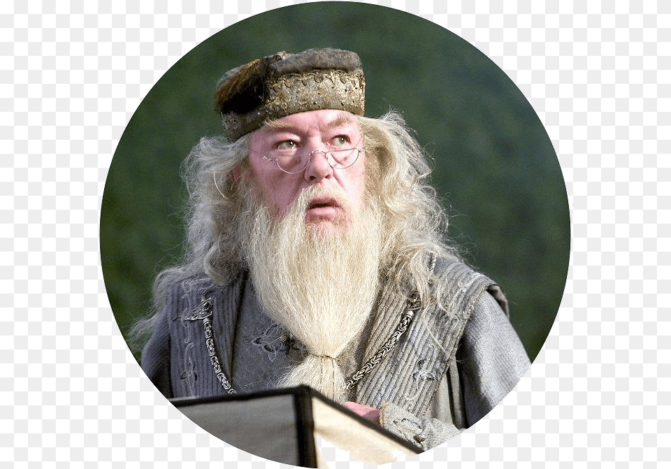 Harry Potter Dumbledore, Portrait, Photography, Person, Man Free Png Download
