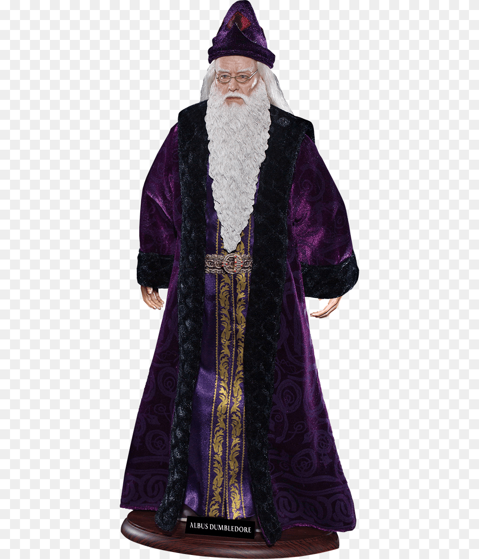 Harry Potter Dumbledore Costume, Adult, Wedding, Person, Woman Png Image