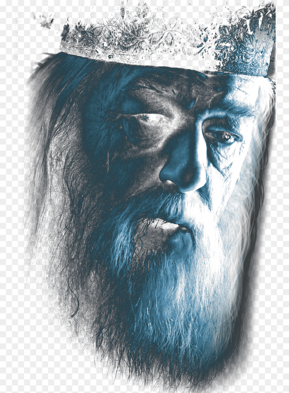 Harry Potter Dumbledore Face Albus Dumbledore, Beard, Head, Person, Photography Free Png