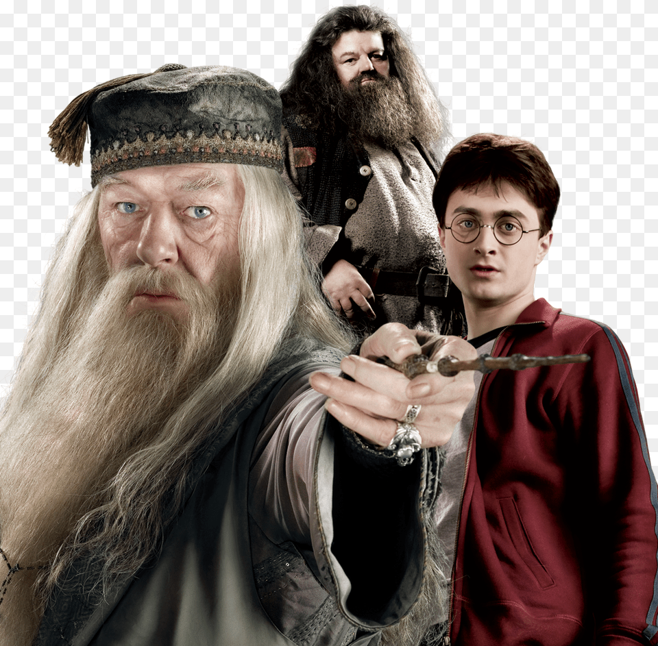 Harry Potter Dumbledore Harry Hagrid Dumbledore And Harry Potter, Head, Beard, Face, Person Png Image