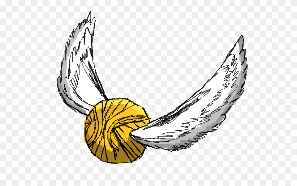 Harry Potter Golden Snitch Clip Art Image, Woman, Person, Female, Adult Png