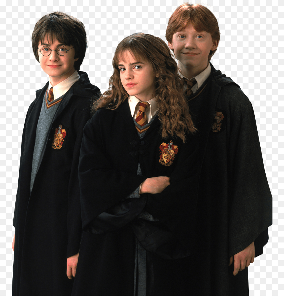 Harry Potter Hd Quality Golden Trio Chamber Of Secrets, Person, People, Fashion, Woman Free Png Download