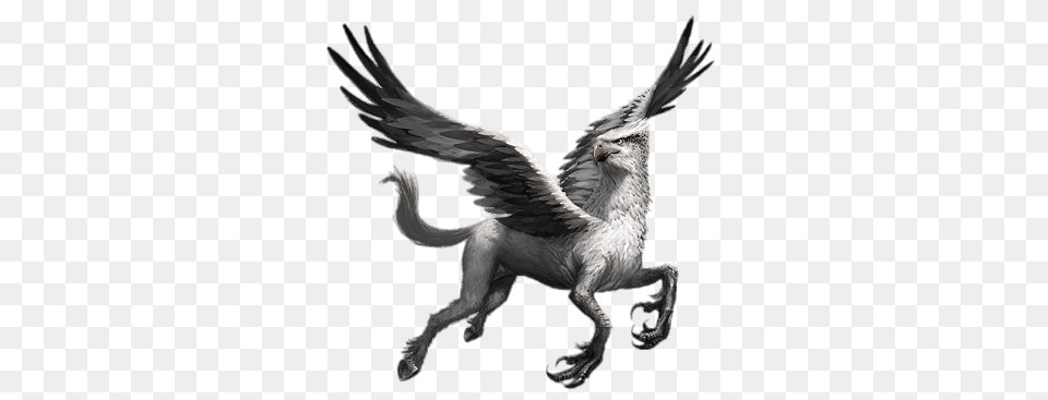 Harry Potter Hippogriff, Animal, Bird Free Transparent Png