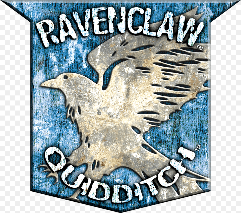 Harry Potter Hogwarts Harry Potter Theme Slytherin Harry Potter Ravenclaw Quidditch Banner, Logo, Emblem, Symbol, Badge Png