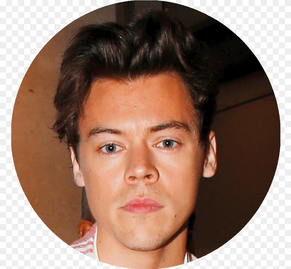 Harry Styles, Adult, Face, Head, Male Free Transparent Png
