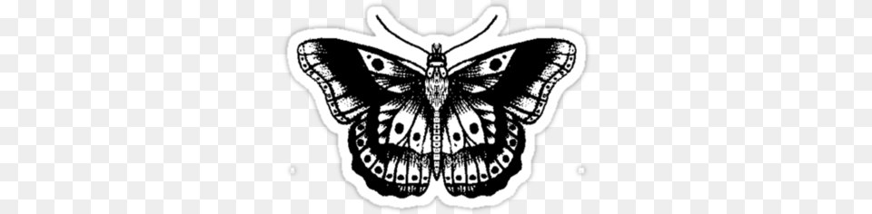 Harry Styles Butterfly Tattoo Tatuaje Harry Styles Mariposa, Animal, Insect, Invertebrate, Moth Free Png