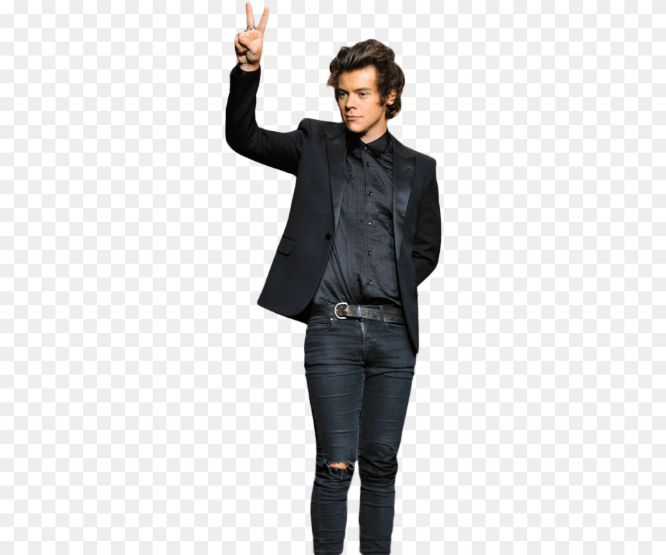 Harry Styles Harry Styles, Person, Long Sleeve, Jacket, Sleeve Png Image