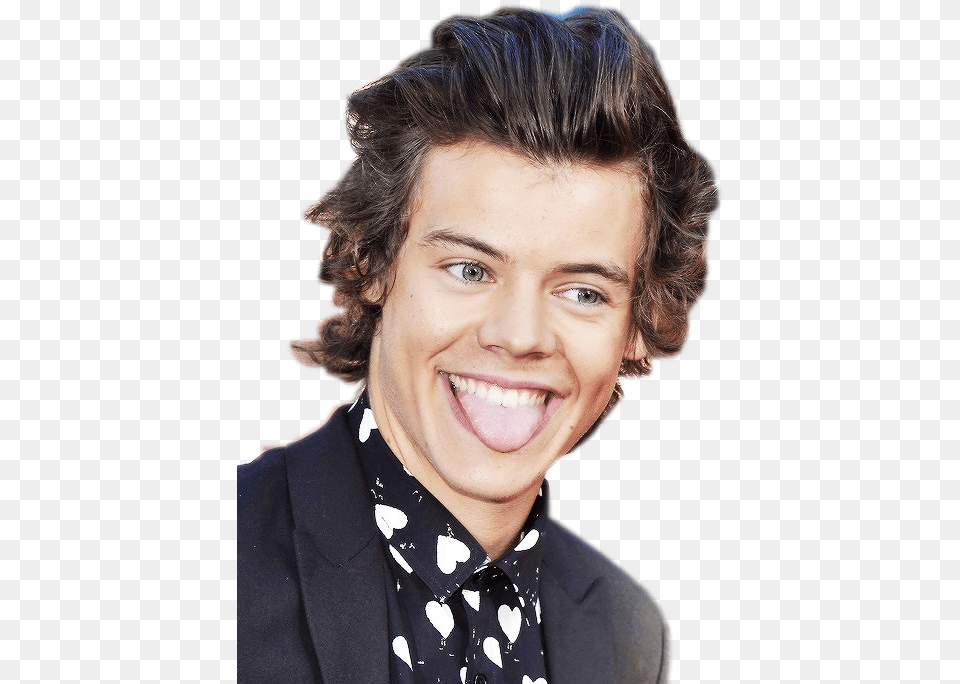 Harry Styles Harry Styles, Woman, Happy, Person, Female Free Png Download