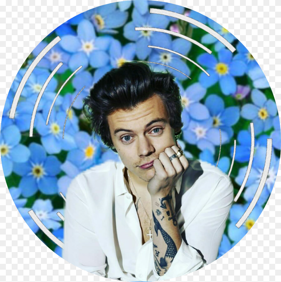 Harry Styles Harry Styles As Prince Eric, Person, Face, Portrait, Photography Png