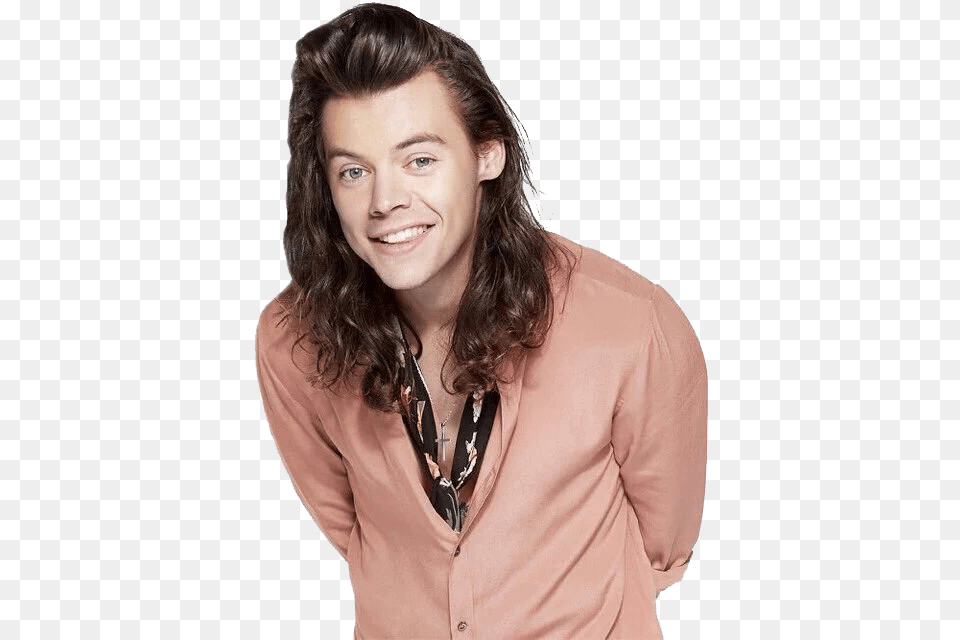 Harry Styles Harry Styles Rose Gold, Face, Happy, Head, Smile Png