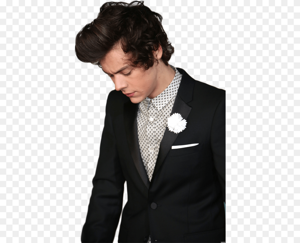 Harry Styles Transparent Harry Styles Im Sorry, Accessories, Tie, Suit, Jacket Free Png
