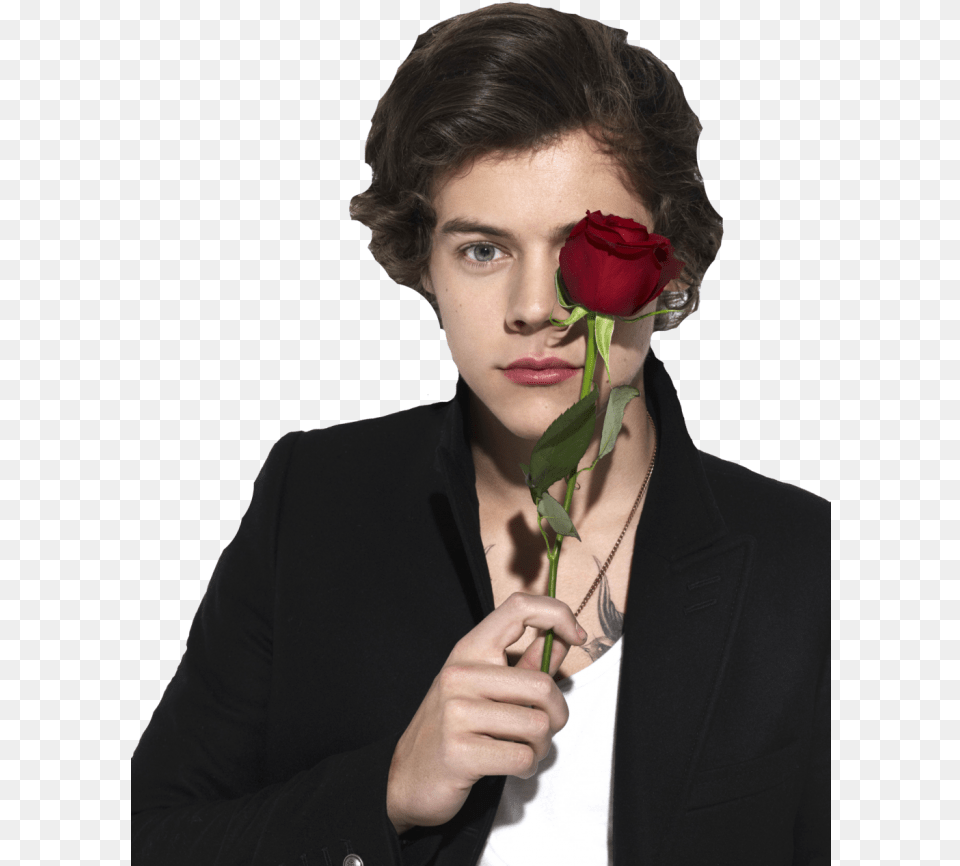 Harry Styles With Flower, Body Part, Rose, Plant, Person Free Png