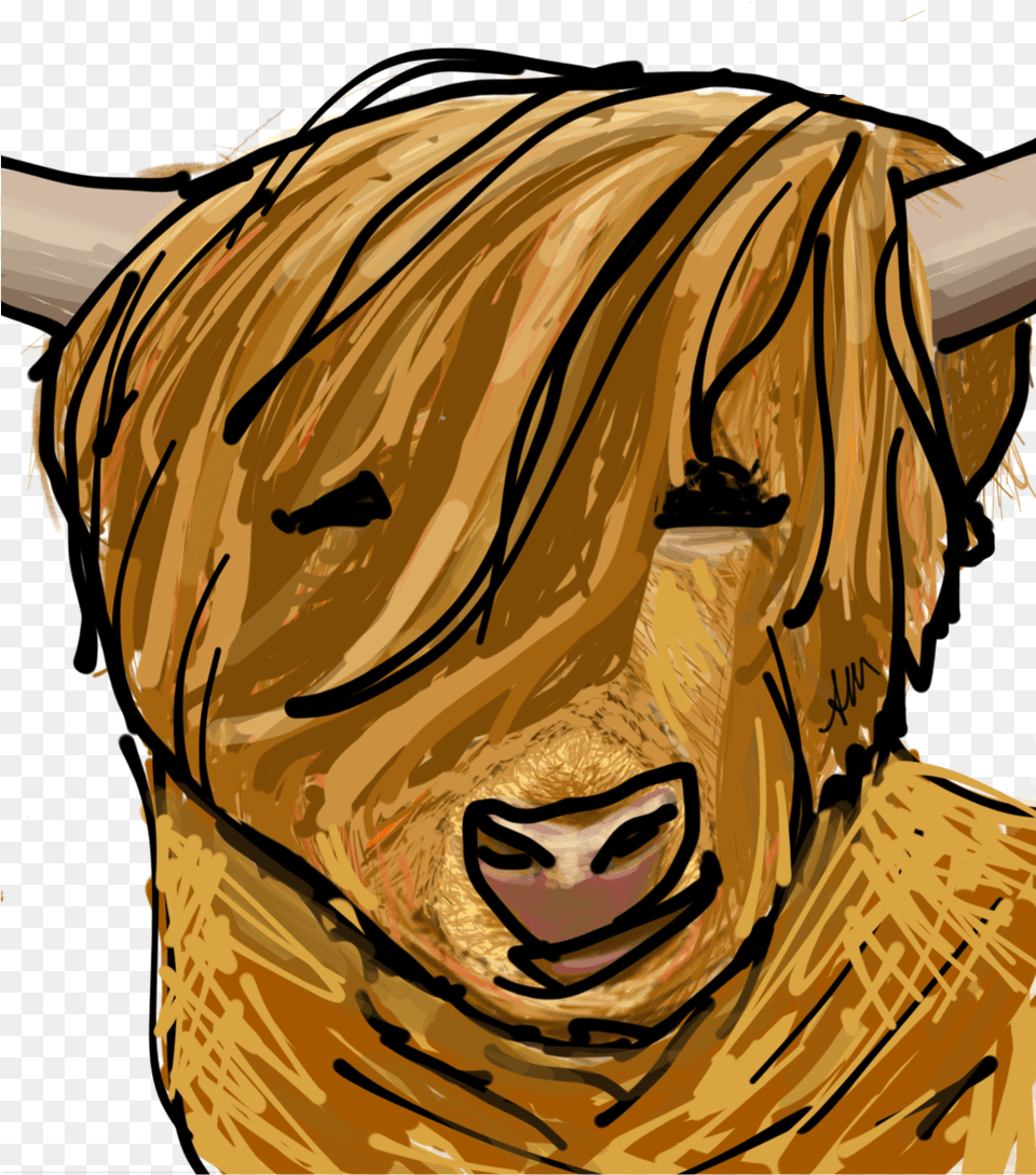 Harry The Highland Cow, Adult, Animal, Bull, Female Png Image