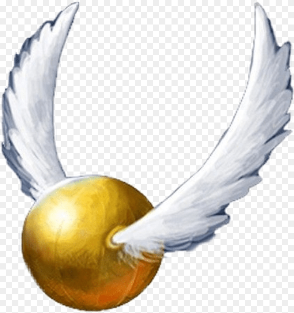 Harrypotter Goldensnitch Quidditch Harry Potter Golden Snitch, Sphere, Animal, Bird Png Image