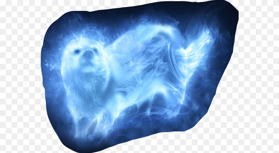 Harrypotter Hermione Patronus Otter Harry Potter Otter Patronus, Animal, Bear, Mammal, Wildlife Free Png Download